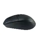 mouse.webp